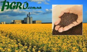 1agro.com.ua