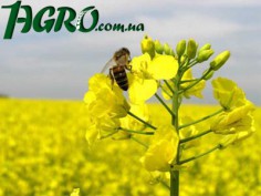 1agro.com.ua