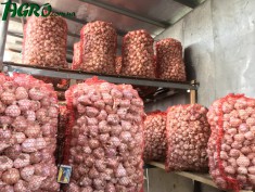 1agro.com.ua