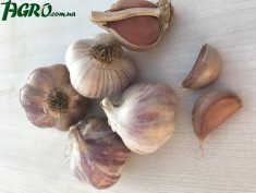 1agro.com.ua