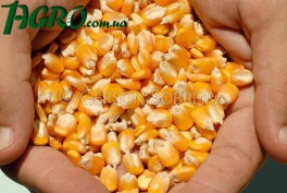 1agro.com.ua