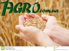 1agro.com.ua