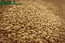 1agro.com.ua