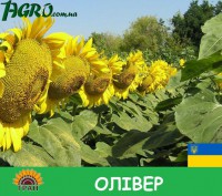 1agro.com.ua