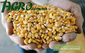 1agro.com.ua