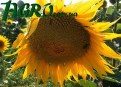 1agro.com.ua