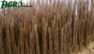 1agro.com.ua