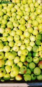 1agro.com.ua
