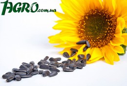 1agro.com.ua