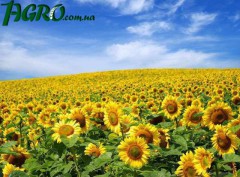 1agro.com.ua
