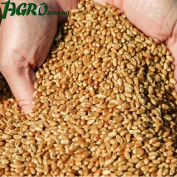 1agro.com.ua
