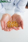 1agro.com.ua