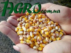 1agro.com.ua