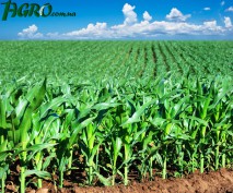 1agro.com.ua