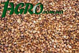 1agro.com.ua