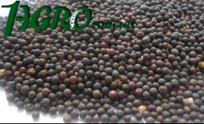 1agro.com.ua
