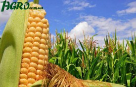 1agro.com.ua