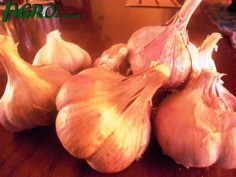 1agro.com.ua