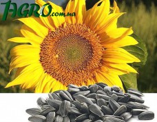 1agro.com.ua