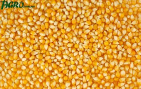 1agro.com.ua