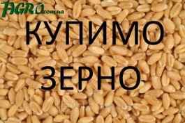 1agro.com.ua