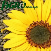 1agro.com.ua