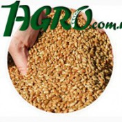 1agro.com.ua