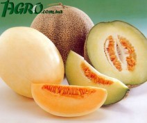 1agro.com.ua