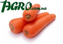 1agro.com.ua