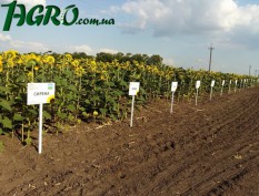 1agro.com.ua