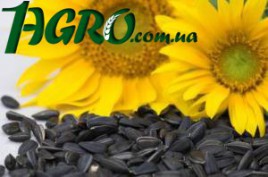 1agro.com.ua