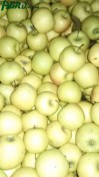 1agro.com.ua