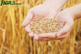 1agro.com.ua