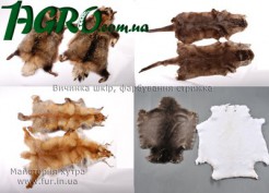 1agro.com.ua