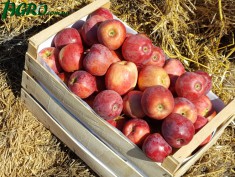 1agro.com.ua