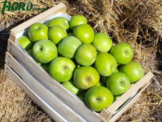 1agro.com.ua