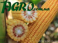 1agro.com.ua