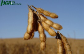 1agro.com.ua