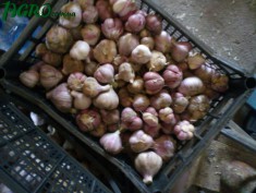 1agro.com.ua