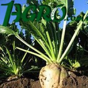 1agro.com.ua