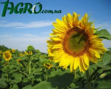 1agro.com.ua
