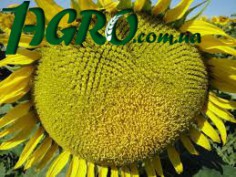 1agro.com.ua