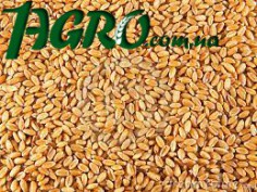 1agro.com.ua