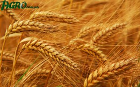 1agro.com.ua