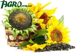1agro.com.ua
