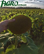 1agro.com.ua