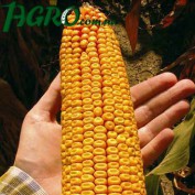 1agro.com.ua