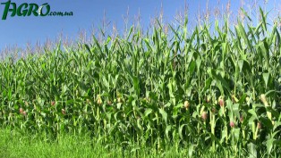 1agro.com.ua