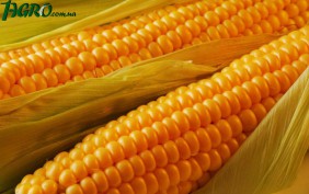 1agro.com.ua