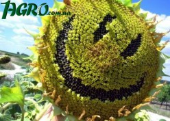 1agro.com.ua